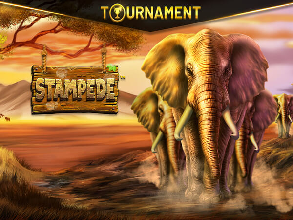 Fazer jogos online